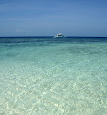 Scuba Diving in Fiji